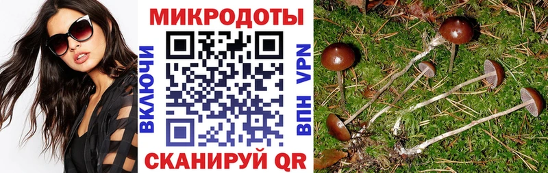 Псилоцибиновые грибы мицелий  Купить закладки  Бабаево 